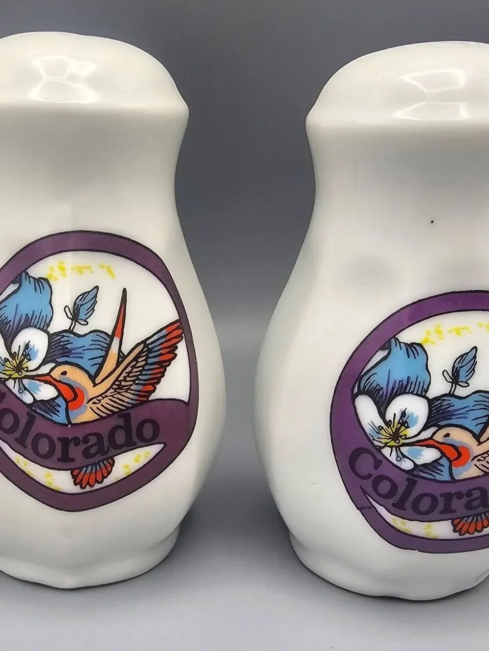 Ceramic Colorado Souvenir Salt and Pepper Shakers